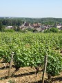 Circuit à travers les vignes de Reuilly et les prairies de l'Arnon Circuit à travers les vignes de Reuilly et les prairies de l'Arnon