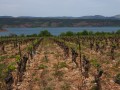 Le tour du Lac de Salagou depuis Lodève Le tour du Lac de Salagou depuis Lodève