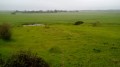 La Plaine de Houdan et la Villa Romaine de la Pièce du Fient La Plaine de Houdan et la Villa Romaine de la Pièce du Fient