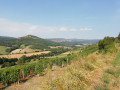 Entre châteaux et Bacchus Entre châteaux et Bacchus