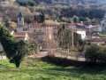 Découvrir les hêtraies sur la commune de Pavezin Découvrir les hêtraies sur la commune de Pavezin