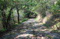 Circuit d'interprétation de la Bataille de Torfou Circuit d'interprétation de la Bataille de Torfou
