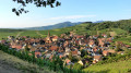 La ronde des grands crus de l'Alsace Moyenne La ronde des grands crus de l'Alsace Moyenne