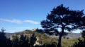 Gorges de Saint-Jaume et forteresses de Fenouillet Gorges de Saint-Jaume et forteresses de Fenouillet