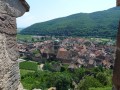 Aller-retour Kaysersberg Aller-retour Kaysersberg