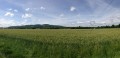 Berges de Saône et retour par Genay Berges de Saône et retour par Genay
