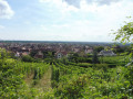 Le Hahnenberg depuis Châtenois et La Montagne des Singes Le Hahnenberg depuis Châtenois et La Montagne des Singes