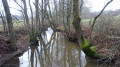 Les bas champs Petitefontaine Les bas champs Petitefontaine