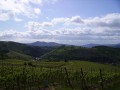 Sur les hauteurs d'Albé Sur les hauteurs d'Albé
