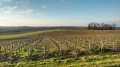 La Sèvre, ses côteaux et moulins entre Vertou et La Haye-Fouassière La Sèvre, ses côteaux et moulins entre Vertou et La Haye-Fouassière
